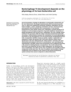 Bacteriophage T4 development depends on the physiology of its