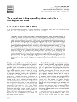 The dynamics of bottom&ndash;up and top&ndash;down control in