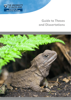 Guide to Theses and Dissertations
