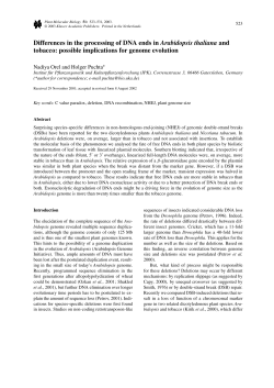 Differences in the processing of DNA ends in Arabidopsis and