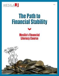 The Path to Financial Stability The Path to Financial Stability