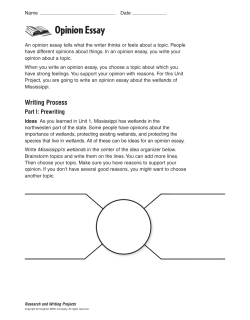 Opinion Essay