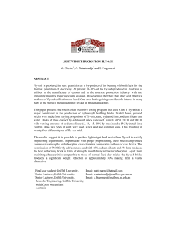 lightweight bricks from fly-ash