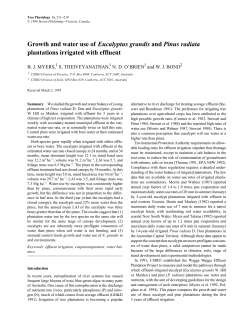 Growth and water use of Eucalyptus grandis and Pinus radiata