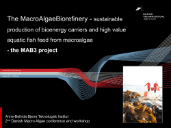 The MacroAlgaeBiorefinery - sustainable