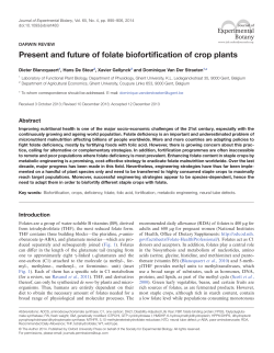 Present and future of folate biofortification of crop