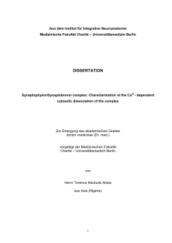 dissertation - diss.fu