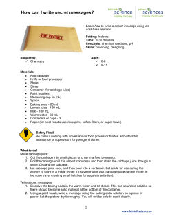 Print Activity - Let`s Talk Science