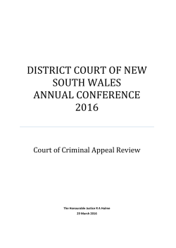 2016 District Court Annual Conference paper
