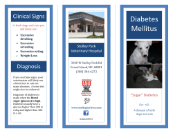 Diabetes Mellitus - Stolley Park Veterinary Hospital