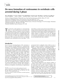 De novo formation of centrosomes in vertebrate cells