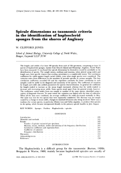 Spicule dimensions as taxonomic criteria in the identification of