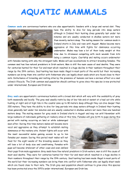 Aquatic Mammals
