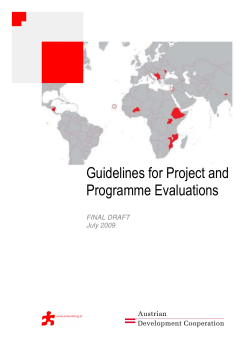 Guidelines for Project and Programme Evaluations