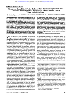 Membrane-Bound Steel Factor Induces More
