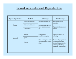 Sexual versus Asexual Reproduction