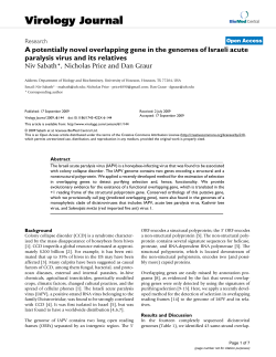 A potentially novel overlapping gene in the genomes of Israeli acute