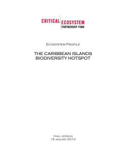 the caribbean islands biodiversity hotspot - Eco