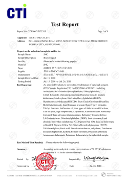 Test Report