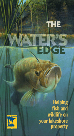 The Water`s Edge Helping fish and wildlife on your