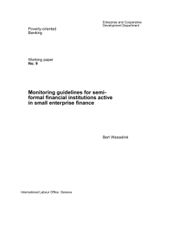 Monitoring guidelines for semi- formal financial institutions active in