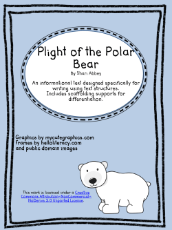 Plight of the Polar Bear