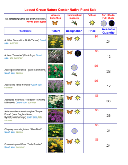 24 12 36 12 36 36 24 Locust Grove Nature Center Native Plant Sale