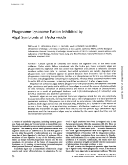 Phagosome-Lysosome Fusion Inhibited Algal Symbionts of Hydra