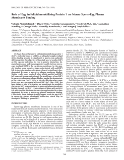 Role of Egg Sulfolipidimmobilizing Protein 1 on Mouse Sperm