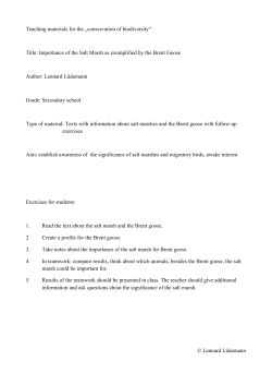 Title: Importance of the Salt Marsh as exempl