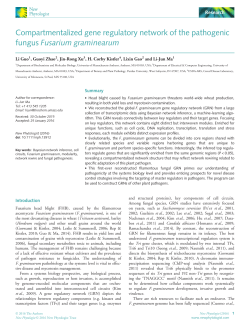 Compartmentalized gene regulatory network of the