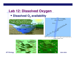 Lab 12: Dissolved Oxygen