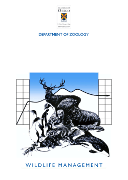 Pedigree analysis and genetic management of the Kaki