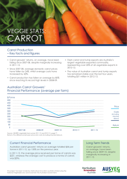 carrot - Ausveg