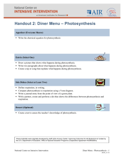 Handout 2: Diner Menu &ndash; Photosynthesis