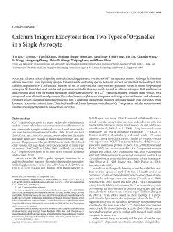 Calcium Triggers Exocytosis from Two Types of Organelles in a