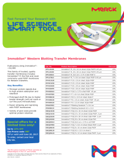 Immobilon-membraanit western blottaukseen - City-Lab