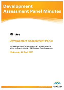 Minutes Development Assessment Panel