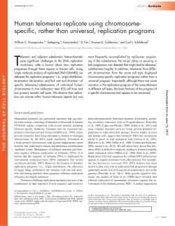 specific, rather than universal, replication programs