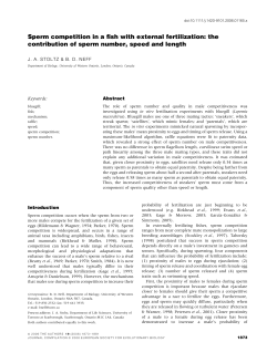 Sperm competition in a fish with external fertilization