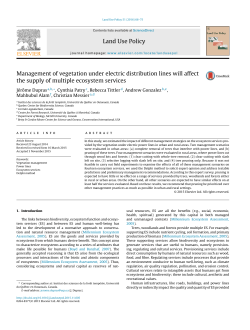 Management of vegetation under electric distribution lines will affect