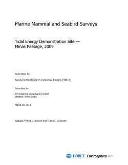 Marine Mammal and Seabird Surveys