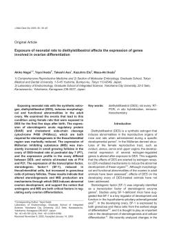 Exposure of neonatal rats to diethylstilbestrol affects the expression