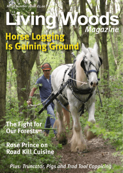 Magazine - Woodlands.co.uk