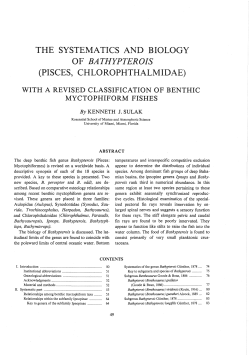 as a PDF