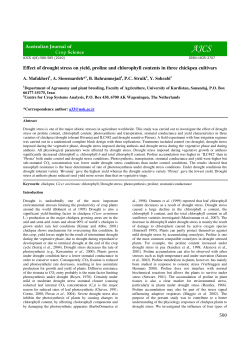 Effect of drought stress on yield, proline and chlorophyll contents in