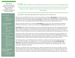 FAME 3.3 Script Matisse