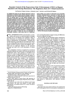 Enzymic Control of the Expression of the X Determinant (CD15) in