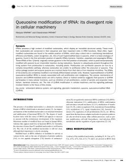 Queuosine modification of tRNA: its divergent role in cellular
