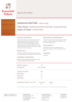 American Red Oak &ndash; Quercus spp